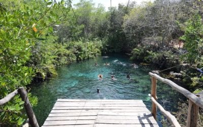 Por qué invertir en Tulum Real Estate y cómo obtener alta rentabilidad al invertir en bienes raíces Tulum México